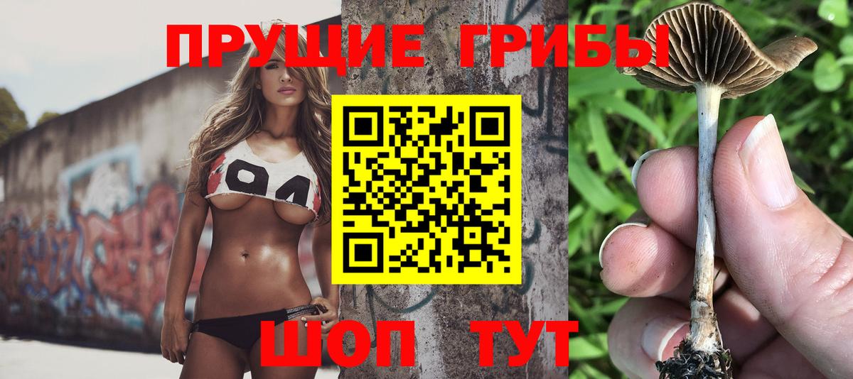Галлюциногенные грибы Psilocybine cubensis  Вход с VPN  Белая Калитва  Галлюциногенные грибы мухоморы 